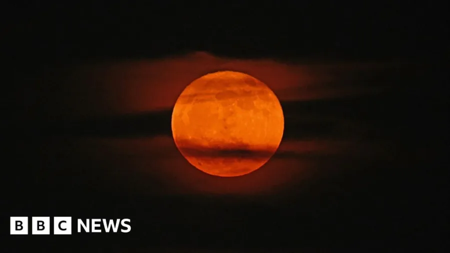 Keep an eye out for tonight's Strawberry Moon