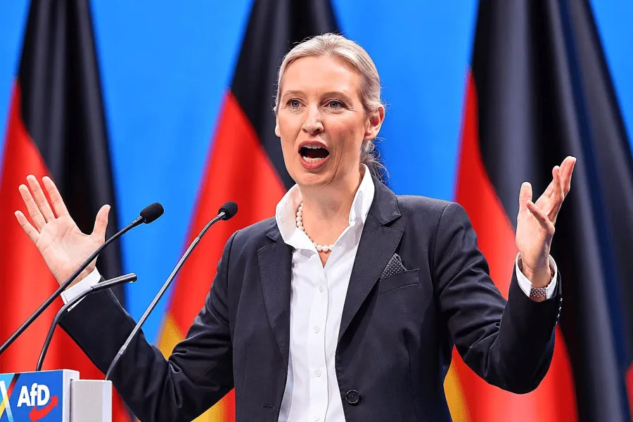 Germany: Merz will be replaced as Chancellor before Christmas – AfD leader Weidel