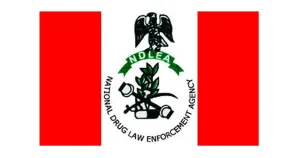 Edo: NDLEA raises alarm over food shortage as farmers turn to cannabis cultivation