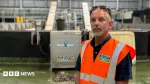 Food waste processing is 'worth the extra effort'