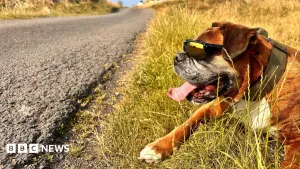 Heatwave conditions in NI for second time this summer