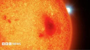 Astronomers' surprise at discovery of new stars