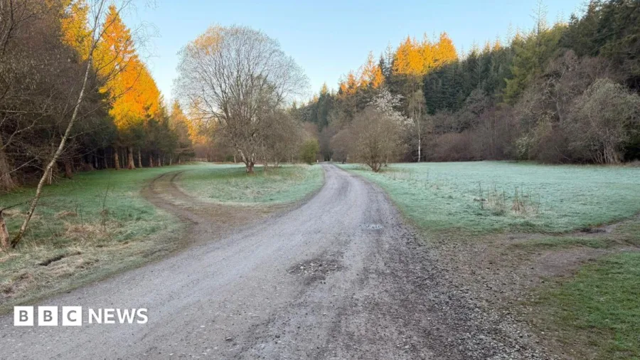 Agency says forest campsite could 'risk life'