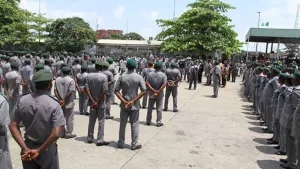 Custom seizes N3.57bn contrabands in Ogun, vows to make border hostile for smugglers