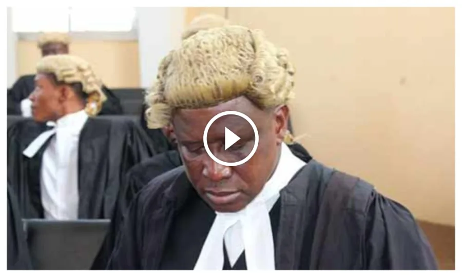 Appeal Court judgement: ‘Best thing is resignation’ – Senior lawyer, Maduabuchi tells Justice Lifu