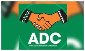 Atiku: ‘Take it easy, no insults’ – ADC knocks presidency