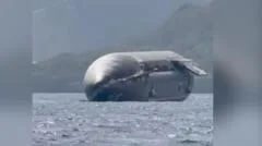 Watch: SpaceX rocket spotted off Christmas Island coast