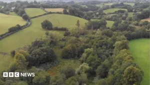 Nature reserve to double in size, thanks to gift