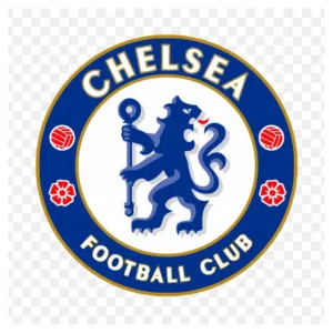 EPL: Chelsea identify 16-year-old midfielder to replace Enzo Fernandez