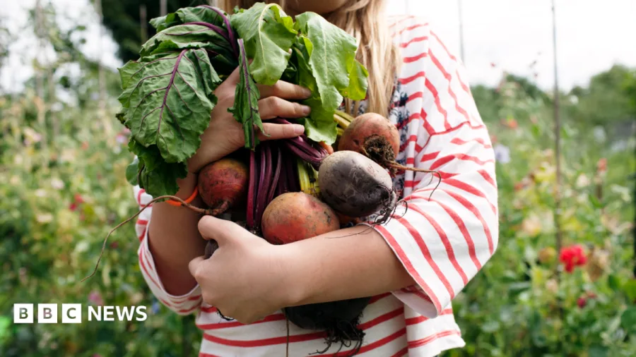 Call for right to grow food on unused public land