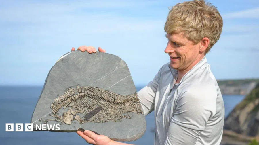 Mountaineer who began fossil hunting after near-death experience discovers rare 'sea dragon'