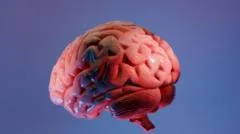 How Indian scientists are mapping the brain's last frontier