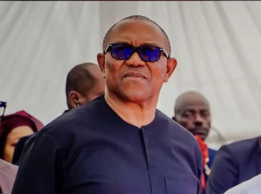 ‘You’ve no plans, lack understanding of governance – Presidency slams Peter Obi