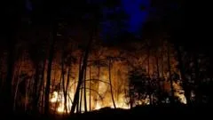Planes sent to tackle wildfires of 'exceptional scale' near Paris
