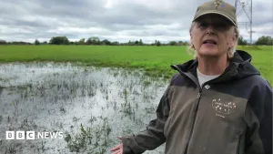 Burst pipe floods wildlife meadow for fourth time